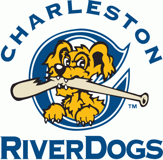 Charleston Riverdogs 1996-2010 Primary Logo iron on transfers for T-shirts